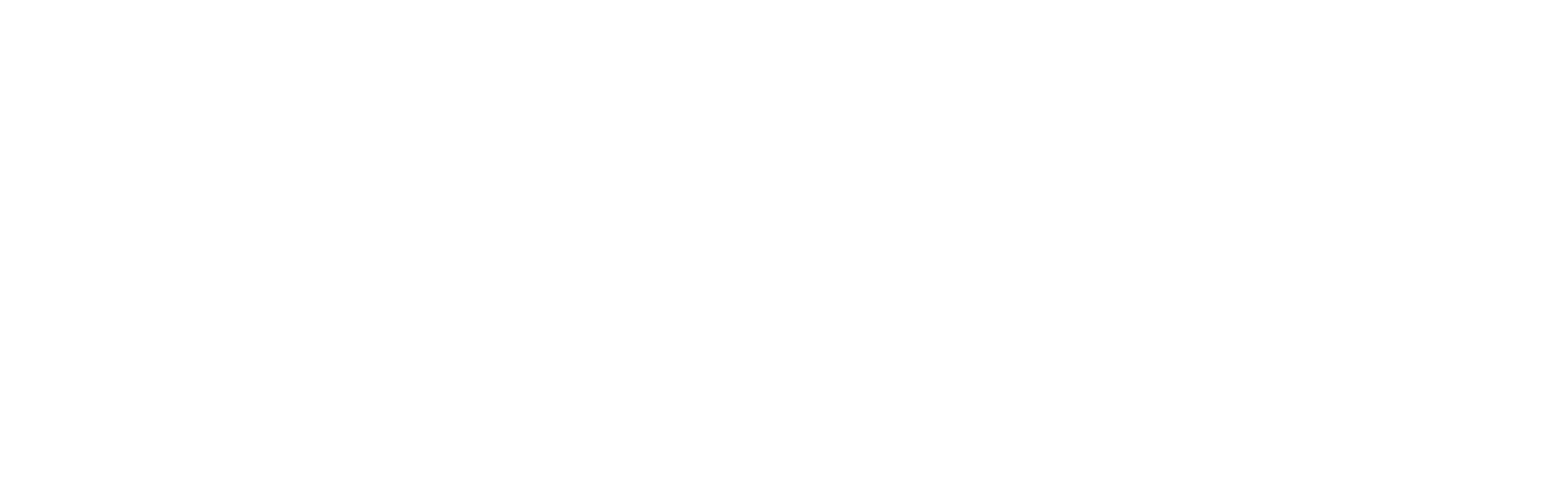 Vivid Group